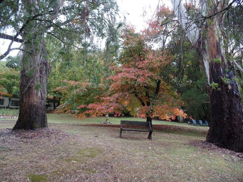 Alpine Riverside Cottages - Yarra Valley Accommodation 4