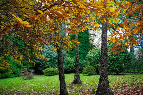 Amaroo Guesthouse - Yarra Valley Accommodation 4