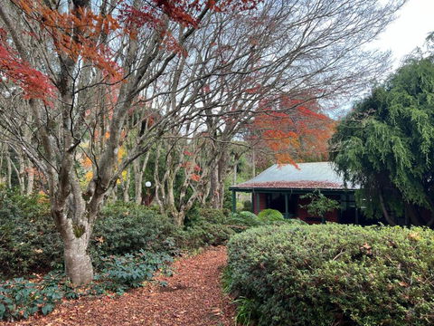 Amaroo Guesthouse - Yarra Valley Accommodation 1