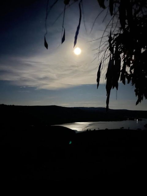 Amazing Views Pet Friendly Bed And Breakfast - Yarra Valley Accommodation 1