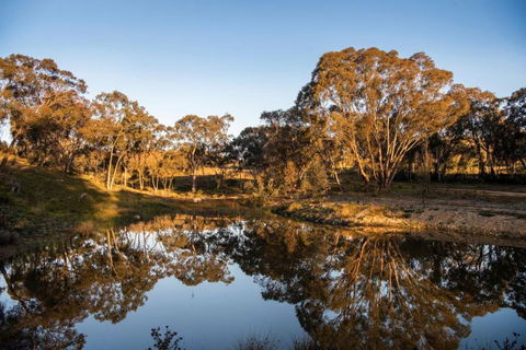 Amethyst - 1 Bed With Hot Tub - Kundalini Lodge - Yarra Valley Accommodation 3