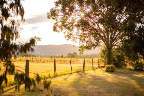 Among The Vines - Yarra Valley Accommodation 2