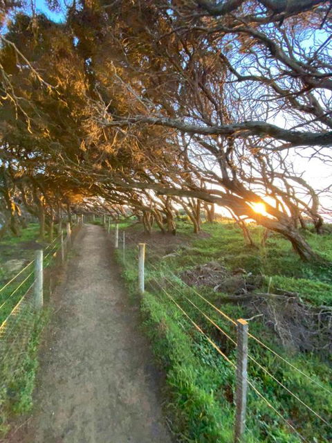Anglesea Rivergums - Yarra Valley Accommodation 3