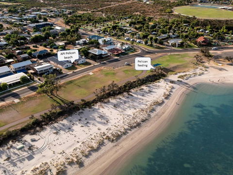 API Pelican Beach Front Apartments Kalbarri - Yarra Valley Accommodation 1