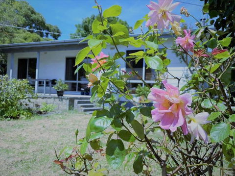 Apollo Bay Holiday House - Yarra Valley Accommodation 1