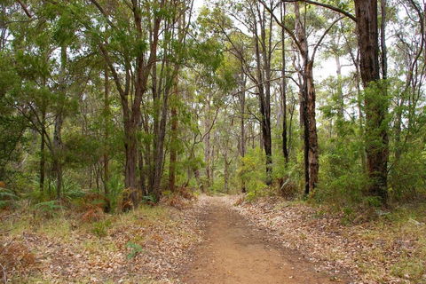 Ashleigh - In Town - Margaret River - Yarra Valley Accommodation 4