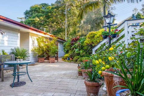 Avocado Sunset Bed & Breakfast - Yarra Valley Accommodation 3
