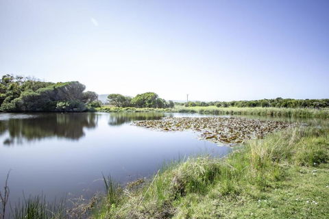 Apollo Bay Cottages- Sabine - Yarra Valley Accommodation 3