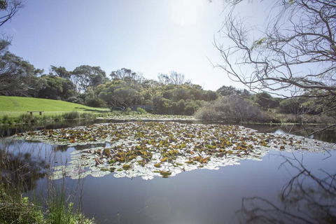 Apollo Bay Cottages- Sabine - Yarra Valley Accommodation 4
