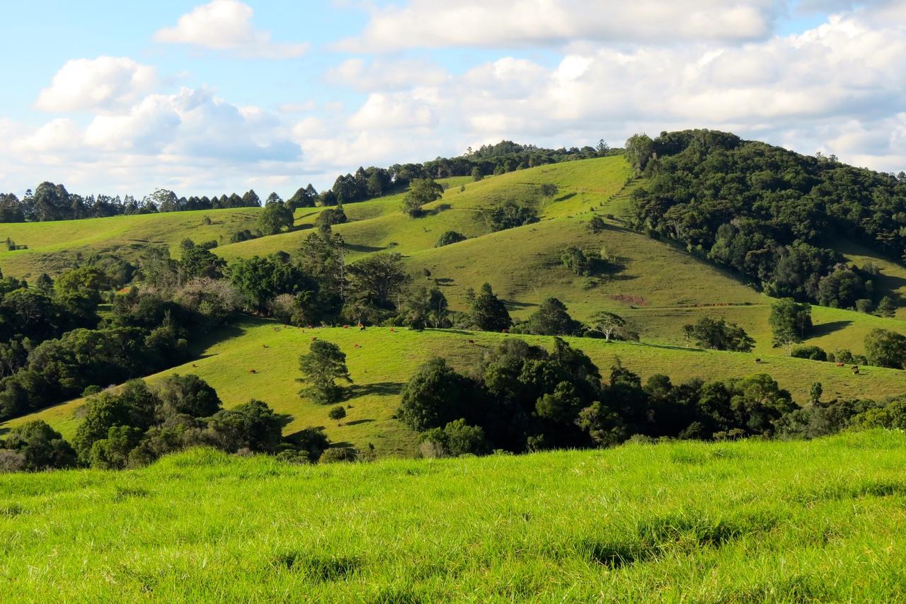 Reesville QLD Yarra Valley Accommodation