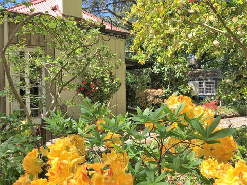 Adelaide Hills 'Camellia Cottage' - WiFi - Yarra Valley Accommodation 1