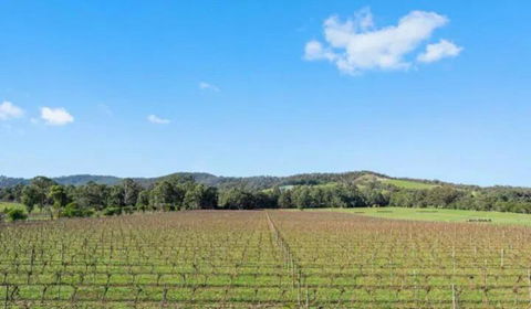 Family-Friendly Gorgeous Farm House TF1952 - Yarra Valley Accommodation 3