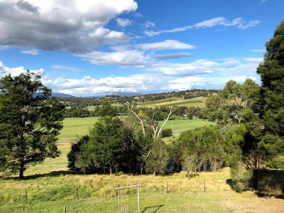 Honeycomb Hill of Yarra Valley
