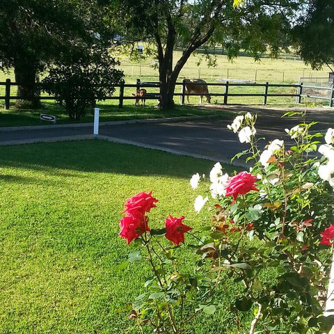 Appin Homestay B & B - Yarra Valley Accommodation 3