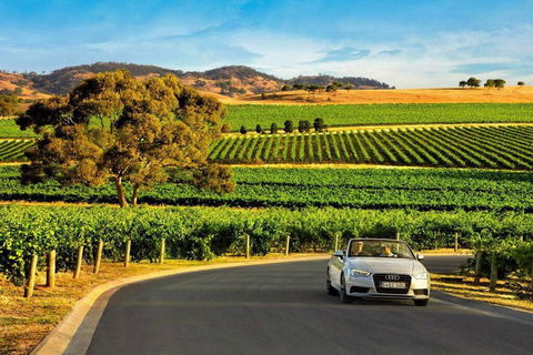 Modern House Close To CBD & Adelaide Oval - Yarra Valley Accommodation 1