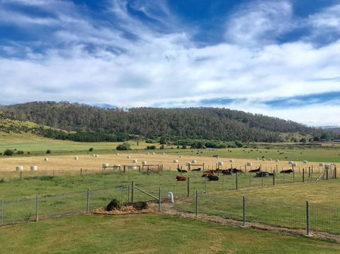Old Entally Farm - Yarra Valley Accommodation 1