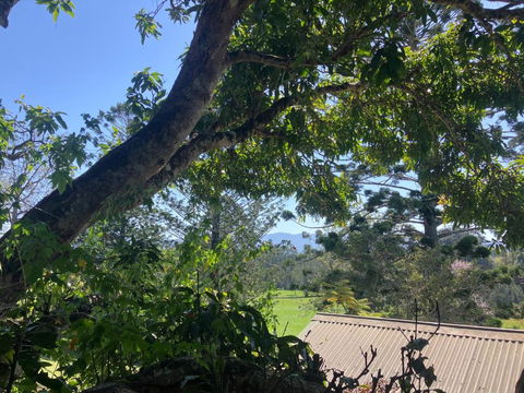 Potters Cottage - Yarra Valley Accommodation 3