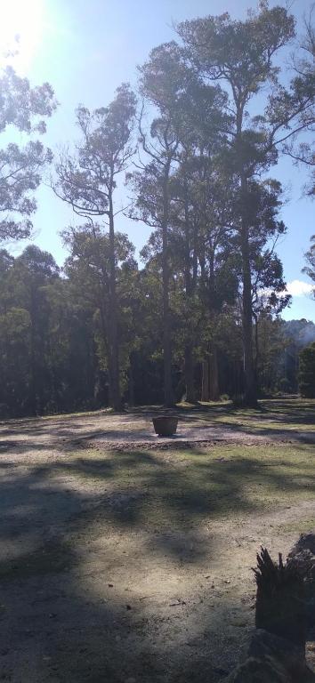 Rail Trail Retreat - Yarra Valley Accommodation 2