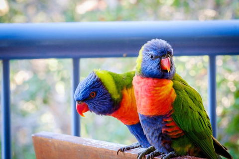 Sanctuary Lake Apartments - Yarra Valley Accommodation 1