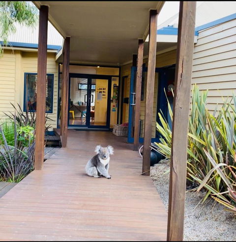Sandpiper Motel Apollo Bay - Yarra Valley Accommodation 3