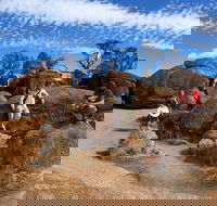 The Big Wave Rock Private Day Tour - Yarra Valley Accommodation
