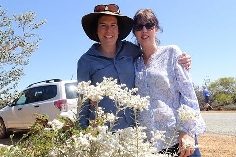 Spring Wildflower (Private) Day Tours - Yarra Valley Accommodation 0