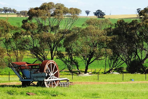 Spring Wildflower (Private) Day Tours - Yarra Valley Accommodation 4