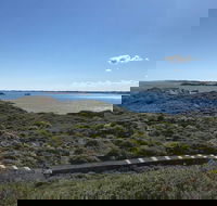Penguin Island And Fremantle - Canoe Chocolate  Coffee - Yarra Valley Accommodation
