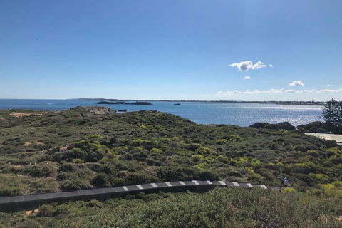 Penguin Island And Fremantle - Canoe, Chocolate & Coffee - Yarra Valley Accommodation 0
