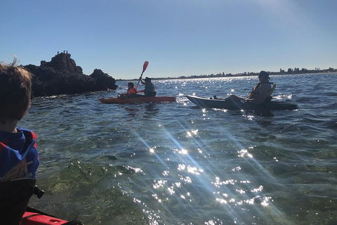 Penguin Island And Fremantle - Canoe, Chocolate & Coffee - Yarra Valley Accommodation 1