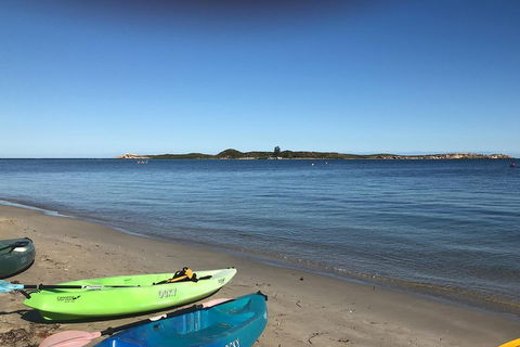 Penguin Island And Fremantle - Canoe, Chocolate & Coffee - Yarra Valley Accommodation 2