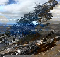 kunanyi / Mt Wellington Explorer Bus - 2 Hour Return Tour - Yarra Valley Accommodation