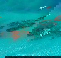 Private Tangalooma Wrecks Tour - Yarra Valley Accommodation