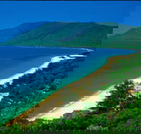 Cairns Reef and Rainforest Combo Daintree Rainforest and the Great Barrier Reef - Yarra Valley Accommodation