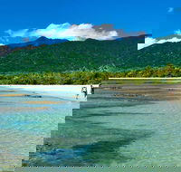 Private Daintree National Park Day Tour from Cairns Including Cape Tribulation and Mossman Gorge - Yarra Valley Accommodation