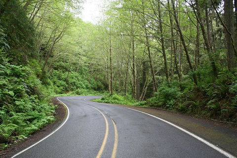 Cruise Ship Shore Excursion - Private Great Ocean Road Full Day Tour (12 Hour) - Yarra Valley Accommodation 3