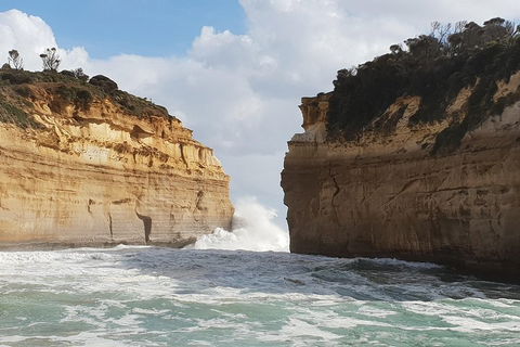 12 Apostles Tour From Warrnambool - Yarra Valley Accommodation 2