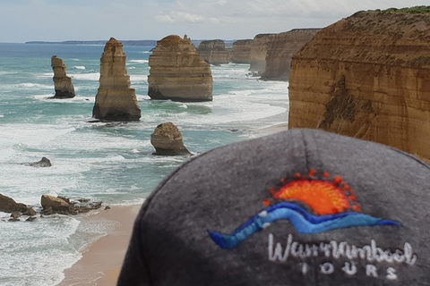 12 Apostles Tour From Warrnambool - Yarra Valley Accommodation 4