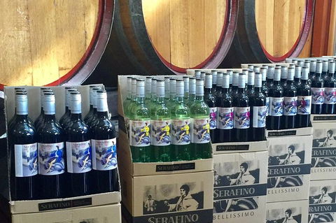 Mclaren Vale Luxury Full Day Small Group Wine Tour - Yarra Valley Accommodation 0