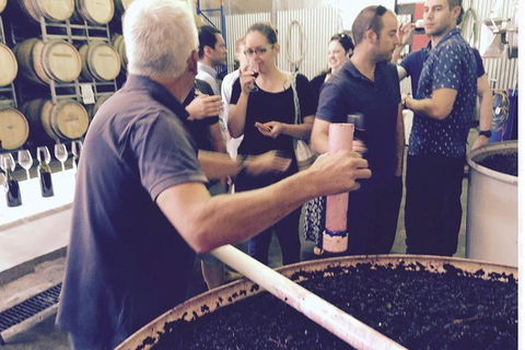 Luxury Private Mclaren Vale Wine Tour - Yarra Valley Accommodation 4