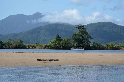 Afternoon Half-Day Daintree Rainforest And River Tour - Yarra Valley Accommodation 2