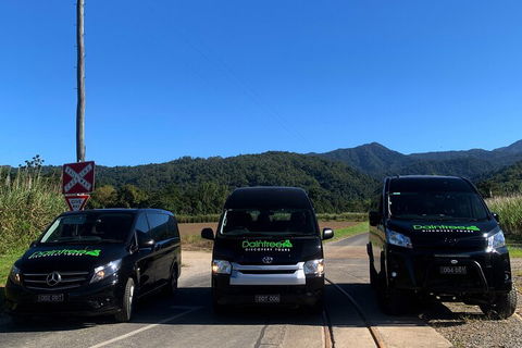 Afternoon Half-Day Daintree Rainforest And River Tour - Yarra Valley Accommodation 4