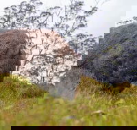 3-Day Cradle Mountain Photography Workshop - Yarra Valley Accommodation