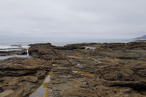 Luxury Private Great Ocean Road Tour Up To 11 People - Entire Vehicle - Yarra Valley Accommodation 1