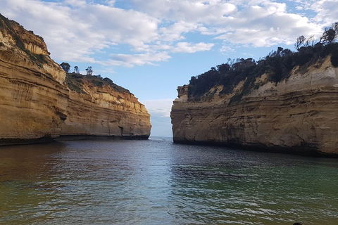 Luxury Private Great Ocean Road Tour Up To 11 People - Entire Vehicle - Yarra Valley Accommodation 2