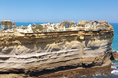 Luxury Private Great Ocean Road Tour Up To 11 People - Entire Vehicle - Yarra Valley Accommodation 4