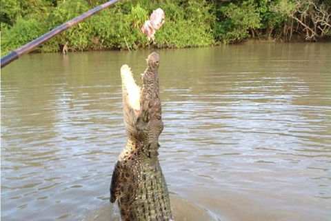 Litchfield National Park And Jumping Crocodile Cruise - Yarra Valley Accommodation 2