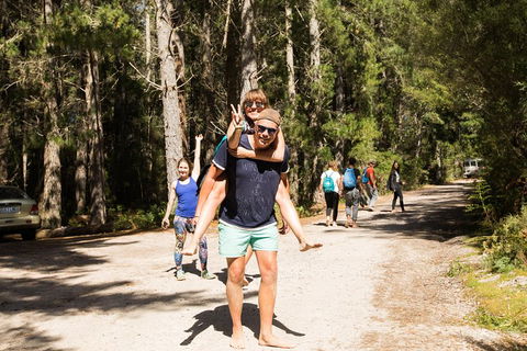 7-Day Best Of Tasmania Adventure Experience From Hobart (flexible Ticket) - Yarra Valley Accommodation 5