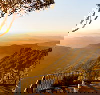 O'Reilly's  Lamington National Park incl. Alpaca Farm  Vineyard - Yarra Valley Accommodation
