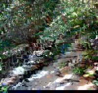 Fraser Island 4WD Tour from Rainbow Beach - Yarra Valley Accommodation